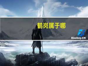 鹤岗属于哪