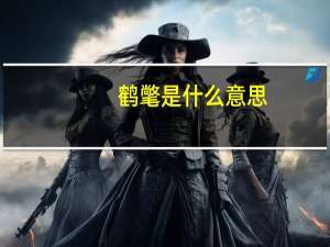 鹤氅是什么意思