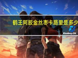 鹤王 阿胶金丝枣卡路里是多少