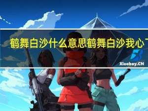 鹤舞白沙什么意思 鹤舞白沙我心飞翔
