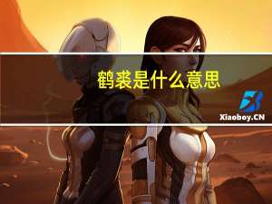 鹤裘是什么意思