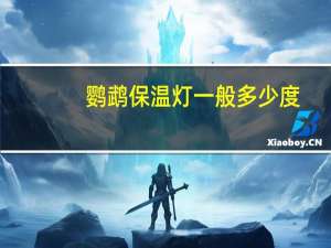 鹦鹉保温灯一般多少度