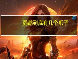 鹦鹉到底有几个爪子