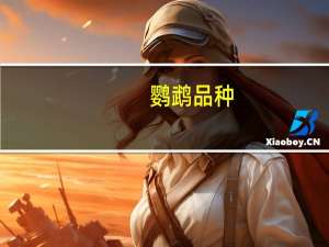 鹦鹉品种