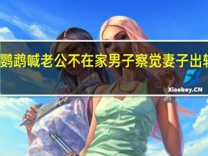 鹦鹉喊老公不在家男子察觉妻子出轨律师：考虑作证据提交 到底什么情况呢