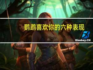 鹦鹉喜欢你的六种表现