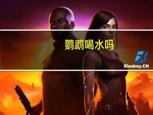 鹦鹉喝水吗