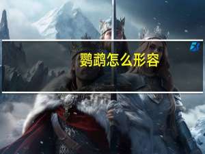 鹦鹉怎么形容