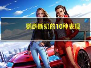鹦鹉断奶的10种表现