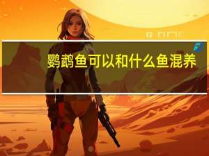 鹦鹉鱼可以和什么鱼混养