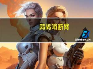 鹧鸪哨断臂（鹧鸪哨网站）