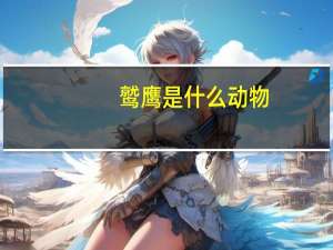 鹫鹰是什么动物（鹫鹰）