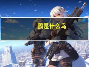 鹯是什么鸟（鹡鸰-鹡鸰属鸟类简介）