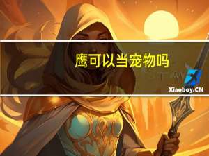 鹰可以当宠物吗