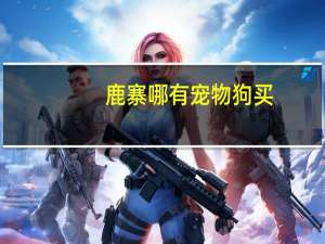 鹿寨哪有宠物狗买