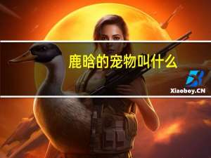 鹿晗的宠物叫什么