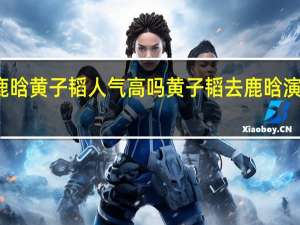 鹿晗黄子韬人气高吗 黄子韬去鹿晗演唱会了