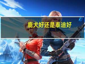 鹿犬好还是泰迪好