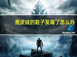 鹿皮绒的鞋子发霉了怎么办