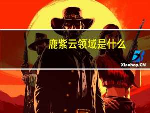 鹿紫云领域是什么