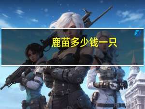 鹿苗多少钱一只