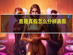 鹿鞭真假怎么分辨真假