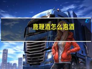 鹿鞭酒怎么泡酒（鹿鞭酒怎么泡）