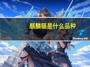 麒麟猫是什么品种