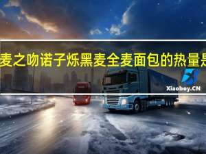 麦之吻 诺子烁 黑麦全麦面包的热量是多少