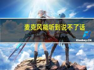 麦克风能听到说不了话（麦克风不能说话但我能听见对方声音）