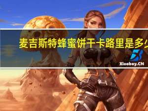 麦吉斯特 蜂蜜饼干卡路里是多少