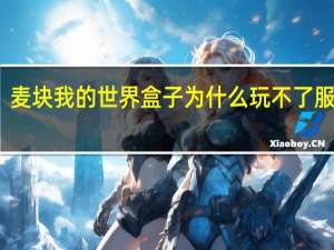 麦块我的世界盒子为什么玩不了服务器（麦块我的世界盒子为什么玩不了mod）