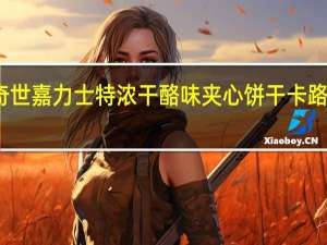 麦奇世嘉力士 特浓干酪味夹心饼干卡路里是多少