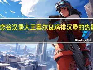 麦恋谷 汉堡大王 奥尔良鸡排汉堡的热量是多少