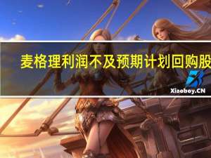 麦格理利润不及预期 计划回购股票