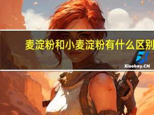麦淀粉和小麦淀粉有什么区别