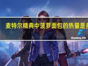 麦特尔 精典中菠萝面包的热量是多少