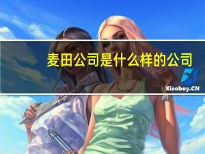 麦田公司是什么样的公司