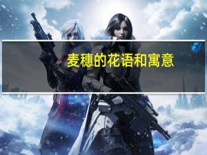 麦穗的花语和寓意