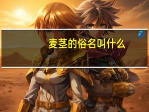 麦茎的俗名叫什么