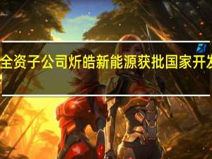 麦迪科技全资子公司炘皓新能源获批国家开发银行银团授信
