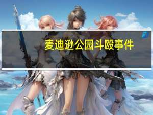 麦迪逊公园斗殴事件（麦迪逊斗殴事件）