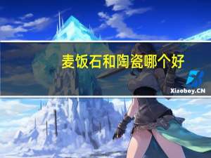 麦饭石和陶瓷哪个好