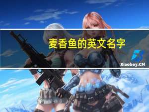 麦香鱼的英文名字