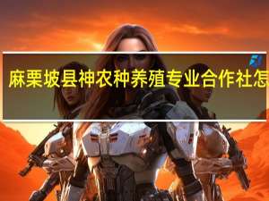 麻栗坡县神农种养殖专业合作社怎么样