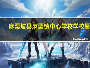 麻栗坡县麻栗镇中心学校学校概况