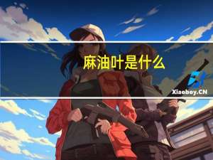 麻油叶是什么