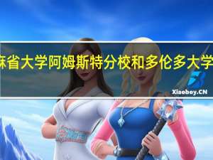 麻省大学阿姆斯特分校和多伦多大学哪个好