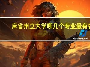 麻省州立大学哪几个专业最有名，最好给出在美国该专业的排名