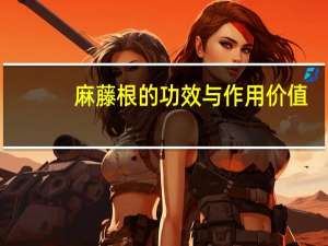 麻藤根的功效与作用价值（苎麻根的功效与作用）